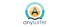 Anysurfer